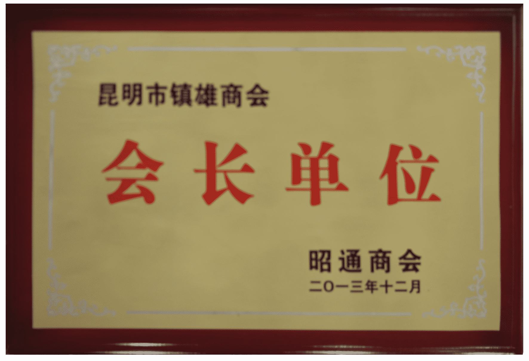 昆明市镇雄商会会长单位