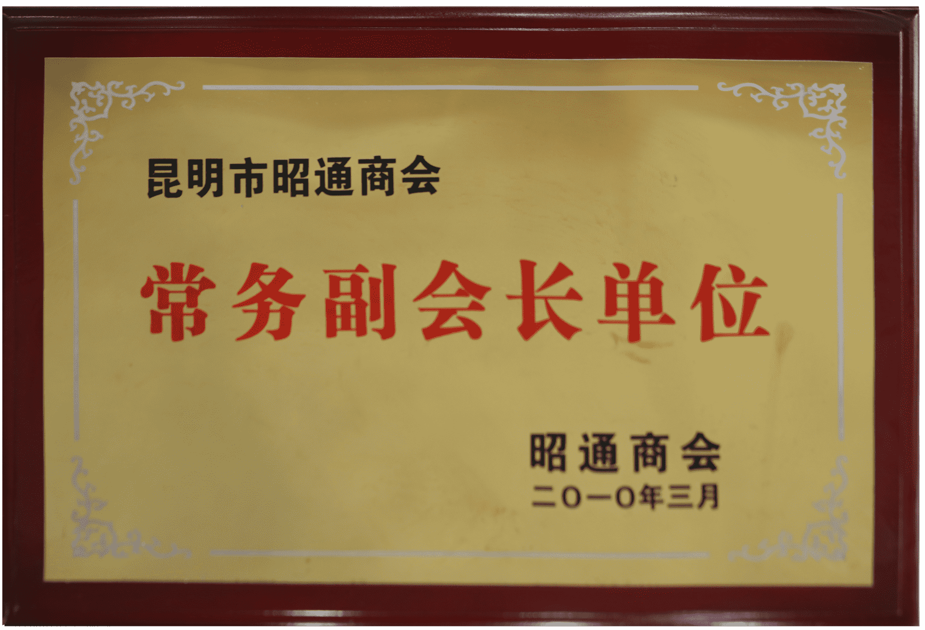 昆明市昭通商会常务副会长单位